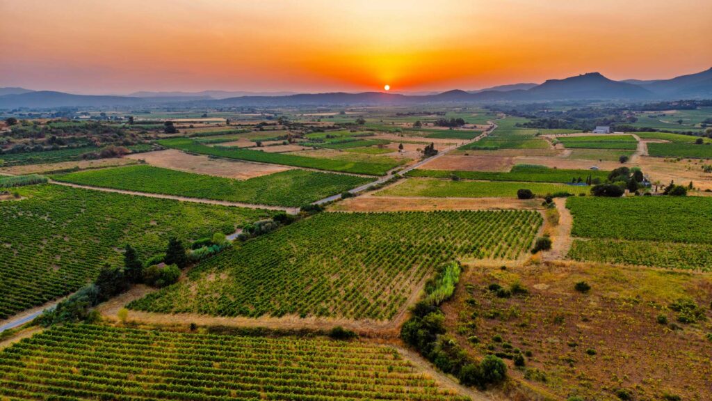 Vue aérienne au drone du vignoble du Mas de l’Écriture au coucher du soleil, Hérault