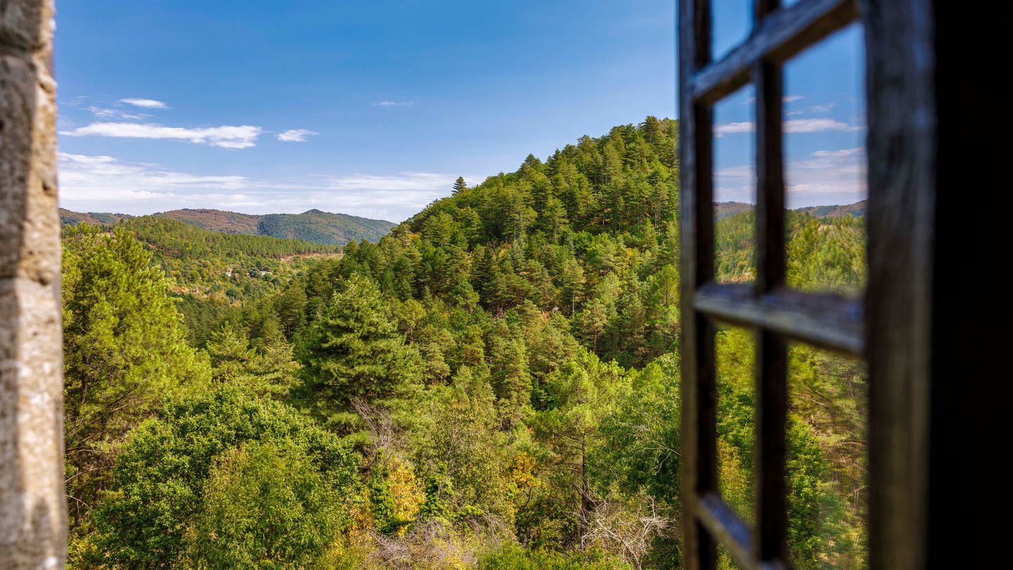 Vue sur la forêt des Cévennes depuis une fenêtre du mas à Génolhac
